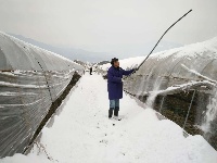 当夷陵遇上雪 水雾朦胧惹人驻足