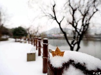 当夷陵遇上雪 水雾朦胧惹人驻足