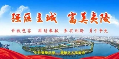 中国共产党宜昌市夷陵区第五届委员会第七次全体会议决议