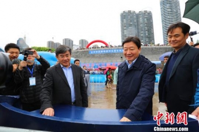 2018年长江三峡中华鲟放流活动在湖北宜昌举行