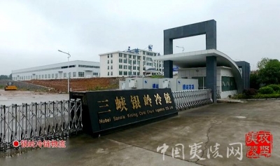 《区委关于加快主城融合攻坚 建设强区主城富美夷陵的决定》系列解读报道之五：产业升级 区域合作