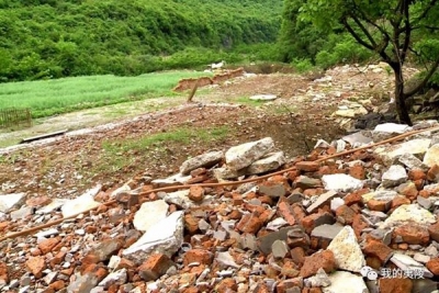 “共抓大保护 问道黄柏河”系列报道：做好生态加减法 守护一河碧绿水