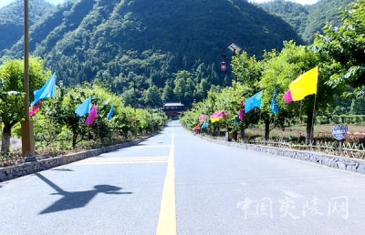 上洋村：火了旅游 富了村民