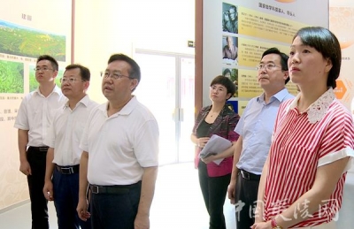 王国斌督查夷陵区国家公共文化服务体系示范区创建工作  