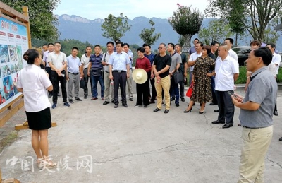 许家冲村美丽家园建设受好评 