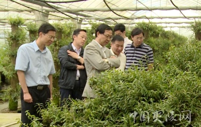 农业农村部调研夷陵区工商资本下乡情况