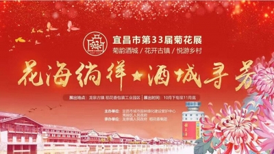 直播：“花海徜徉 酒城寻芳”宜昌市第33届菊花展开幕