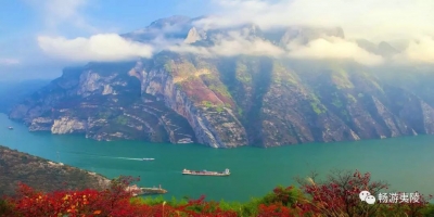 三峡日报：夷陵区乡联动开展卫计执法