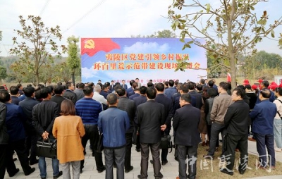 夷陵区加快推进党建引领乡村振兴示范带建设