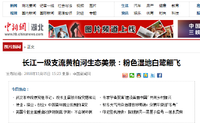 中新网：三峡库坝区夷陵迎今冬首场降雪