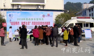夷陵区食药监局开展药品安全宣传月活动