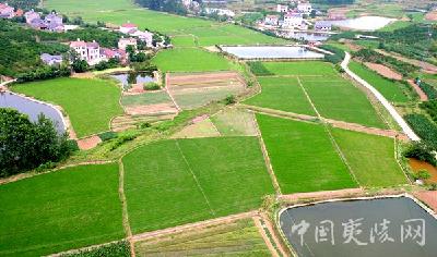夷陵区实施全市首个“旱改水”项目 夯实现代农业基础