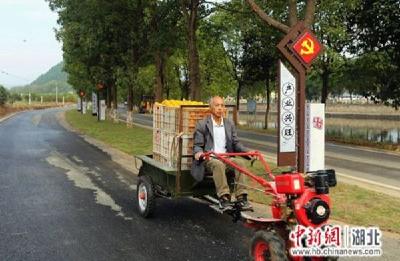 夷陵坚持党建引领推动乡村振兴