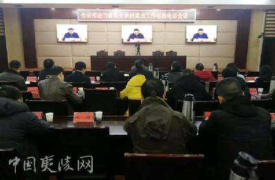 全省推进当前农业农村重点工作电视电话会议召开