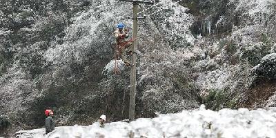  V视 | 夷陵区供电公司全力抗击冰雪灾害保供电