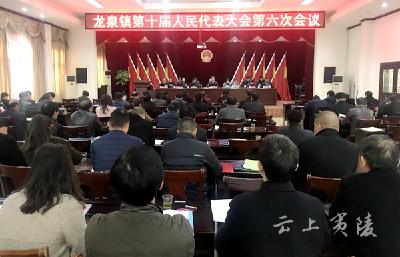 龙泉镇将舞活产业发展一条龙