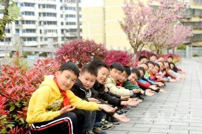 冯家湾小学：樱花树下诵经典 邂逅四月好春光