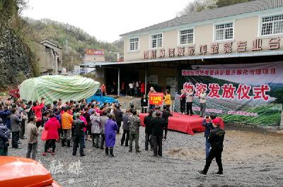 夷陵区农业农村局：开展土壤酸化治理 助推蔬菜产业振兴