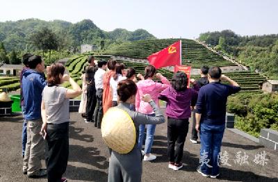 夷陵区融媒体中心：文明实践活动走进乡村茶园