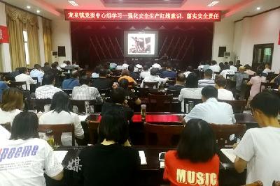 【安全大于天】龙泉镇党委中心组集中学习安全生产法律法规