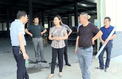邓玉华调研鸦鹊岭镇重点项目建设