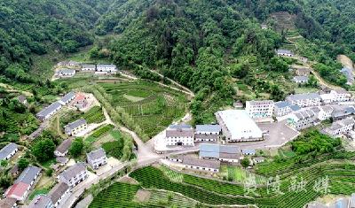 夷陵｜一村一落皆美景 美丽乡村入画来