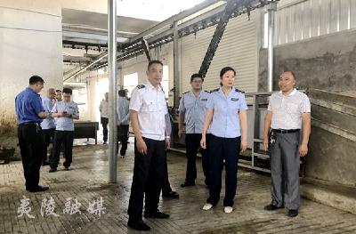 开展节前食品安全专项检查 确保市民舌尖上的安全