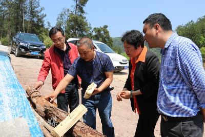 【人大工作回眸】之二：牢记使命 助推夷陵高质量发展