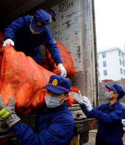 湖北日报客户端：夷陵消防指战员转运捐赠物资上百吨