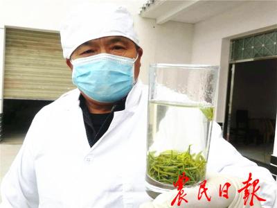 经济日报客户端：宜昌丨第一锅春茶献给战“疫”医疗队员