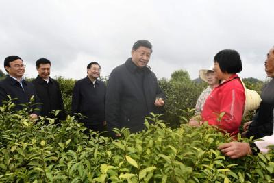 习近平：人不负青山，青山定不负人