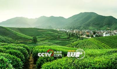 联播+｜做好乡村振兴大文章 习近平反复强调这四个字