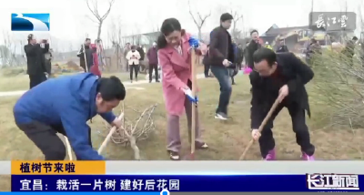 省台聚焦！宜昌夷陵植树造林添新绿           