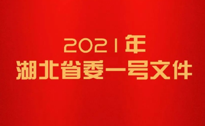 湖北省委一号文件来了！亮点速览~