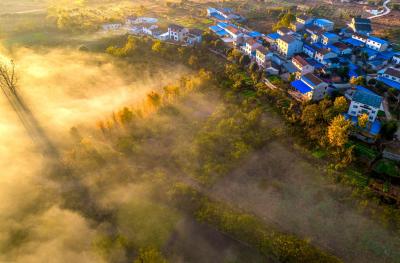 航拍夷陵黄柏河生态湿地公园，雾气缥缈宛如仙境！