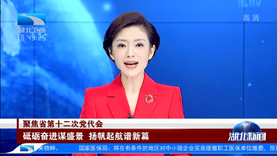 聚焦省第十二次党代会·党代表热议 | 砥砺奋进谋盛景 扬帆起航谱新篇