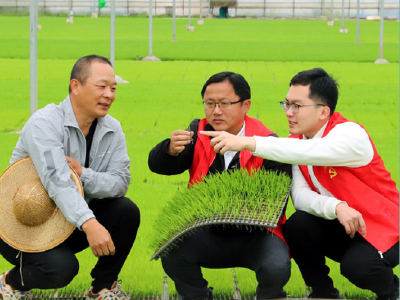 看图学习丨推广良田、良种、良法、良机 给农业现代化插上科技的翅膀