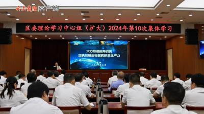 V视 | 区委理论学习中心组举行2024年第10次集体学习