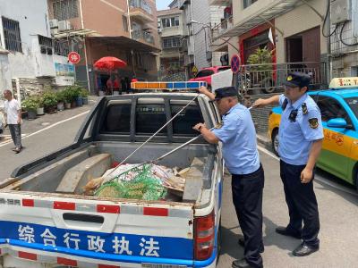 城管在行动 让流浪犬不再“流浪”