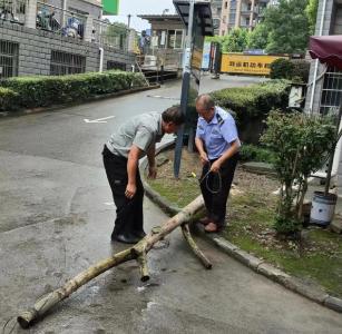 “红色管家”在行动 打通治理“神经元”