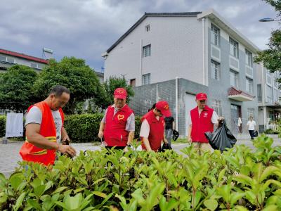 党员干部齐发力 清洁家园展新颜