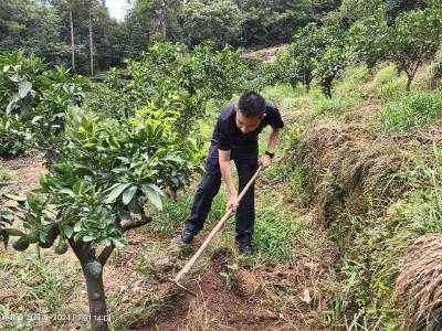 课堂进乡村 “四同”强党性