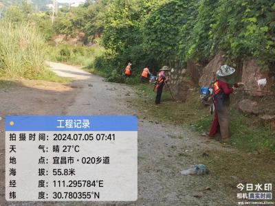 丁家坝社区：清理道路杂草 助力安全出行