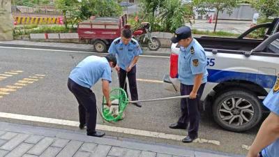 下堡坪：加强流浪犬管理 全力护航群众安全