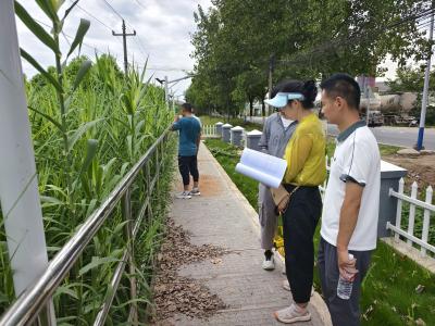 夷陵区审计局：关注柏临河流域生态治理情况