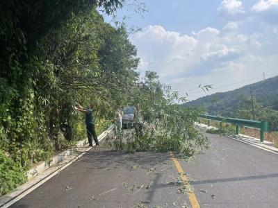 清理道路障碍 排除安全隐患