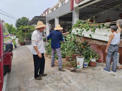 共筑清洁家园 共享美丽村居