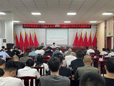 学习贯彻党的二十届三中全会精神夷陵区委宣讲团乐天溪报告会举行