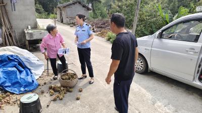 太平溪：爱卫运动进行时 杀蚊除菌筑防线