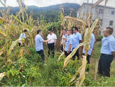 古村村：企地共建聚合力，争作贡献促振兴